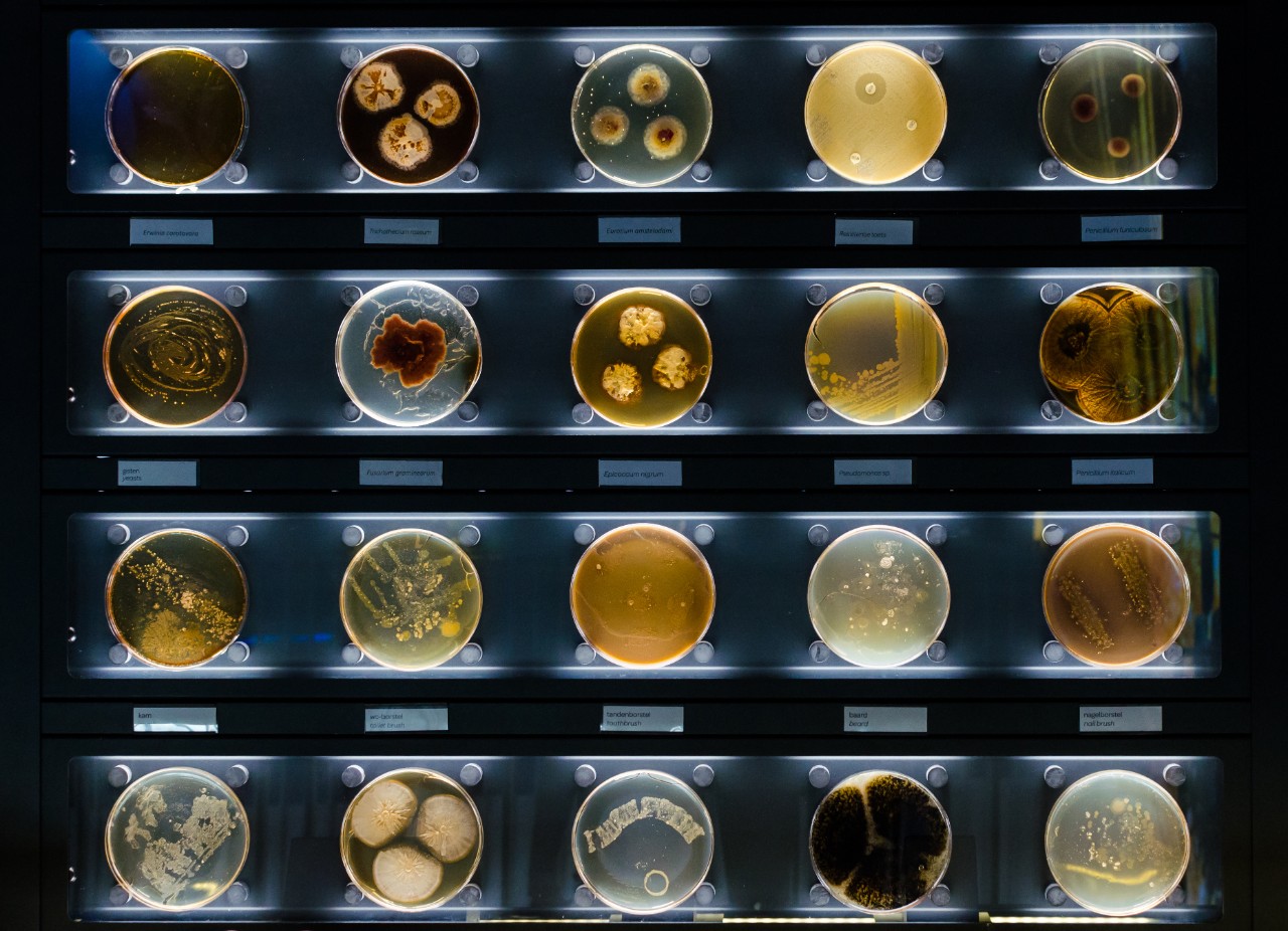 万博在线客服shutterstock1416813431-maldi-biotyper-microbial-research-bruker-md-web