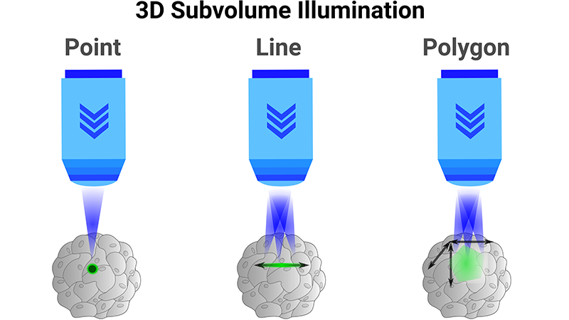 3D子卷光照