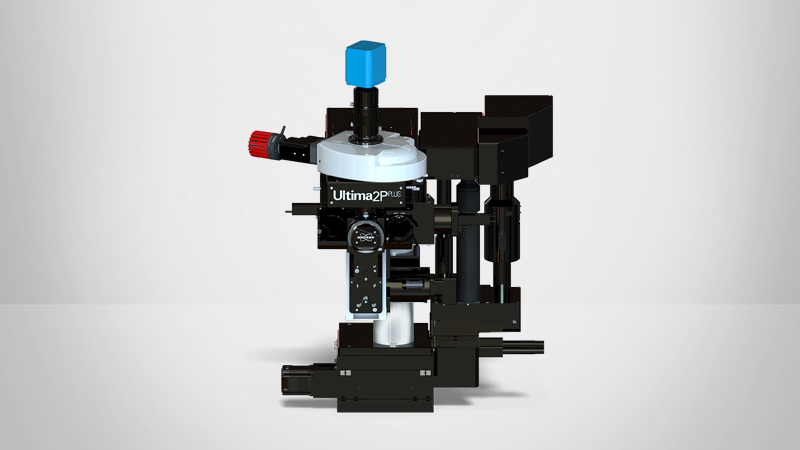 Ultima 2pplus Multiophoton显微镜