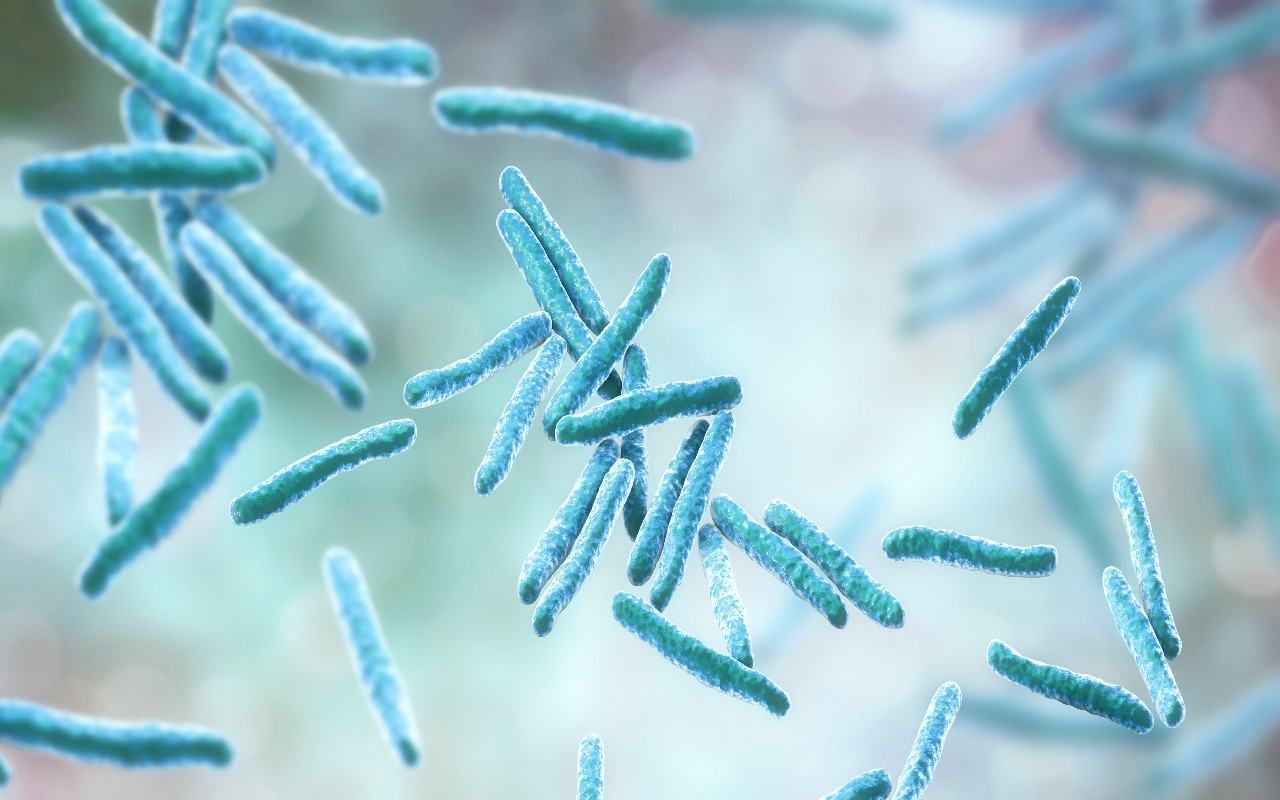 mycobacteria-shutterstock-1011747280-md-web