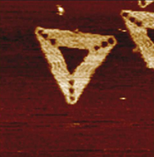 Innova AFM - Origami-DNA on Mica imaging in Liquid