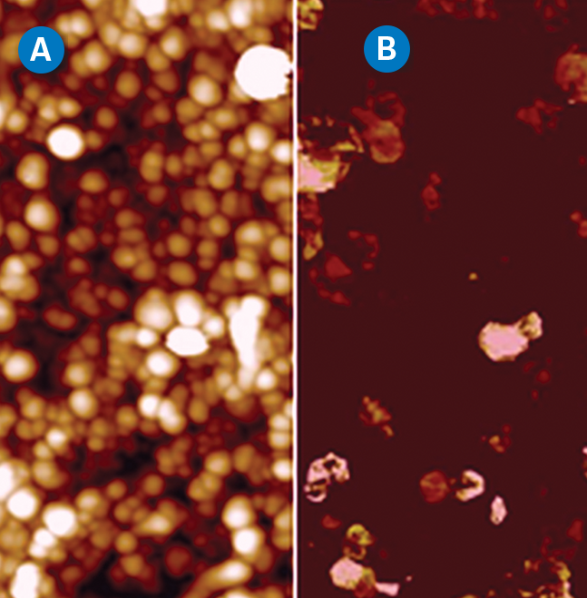 多模8-HR AFM  - 碳纳米管的高度和当前地图