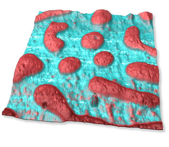 PS矩阵和PMMA的维度FastScan AFM  - 损耗模量