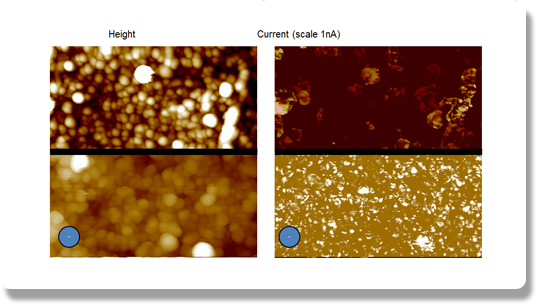 维度FastScan AFM  - 碳纳米管上的电流成像