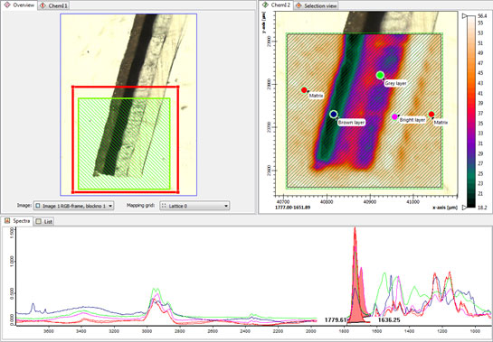 POPUS##MATLAB3D##