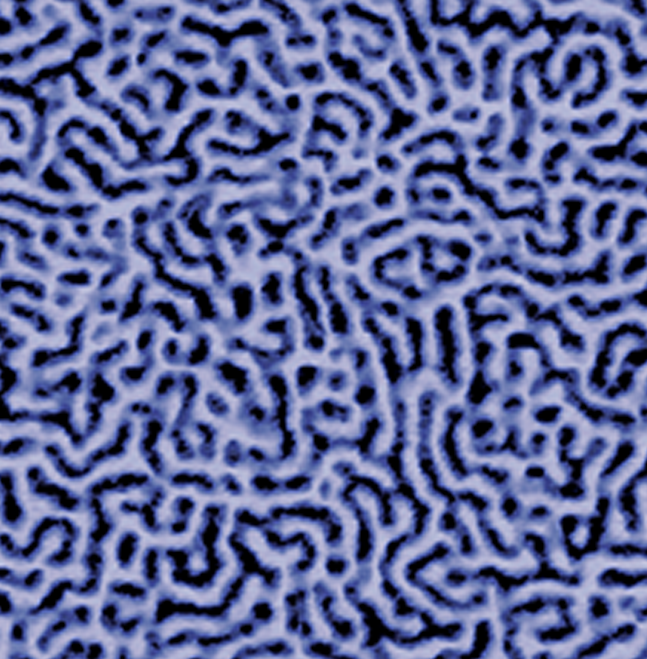 INVAAFM微相分离